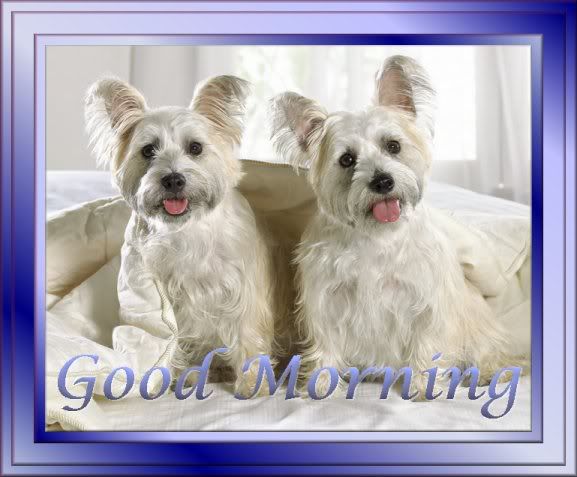 2Puppies-Good_Morning.jpg