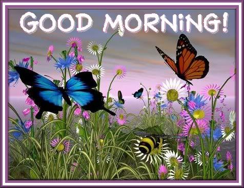 Good Morning Butterfly Love