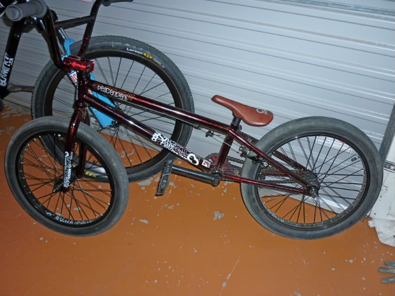 colony descendant bmx