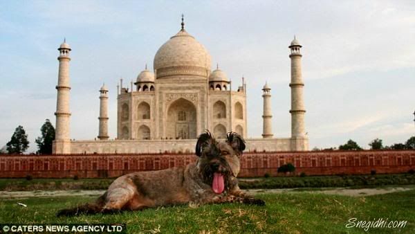 [FFA] Fun For All, A Snegidhi Group Presentation, WWW.SNEGIDHI.COM