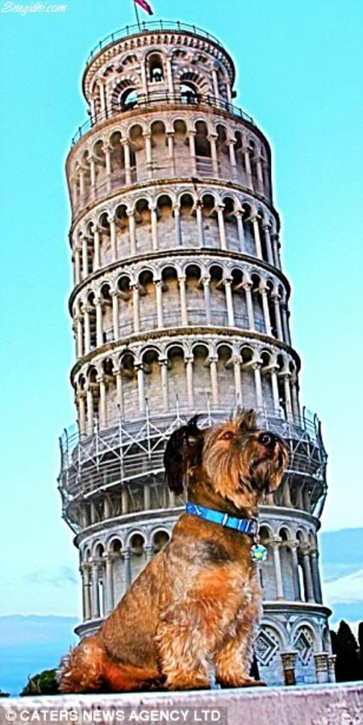 [FFA] Fun For All, A Snegidhi Group Presentation, WWW.SNEGIDHI.COM