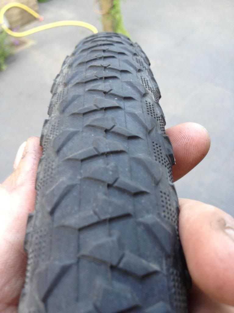 maxxis maxxlite 29