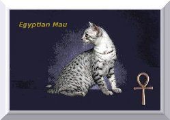  photo EgyptianMau_zps716b2624.jpg
