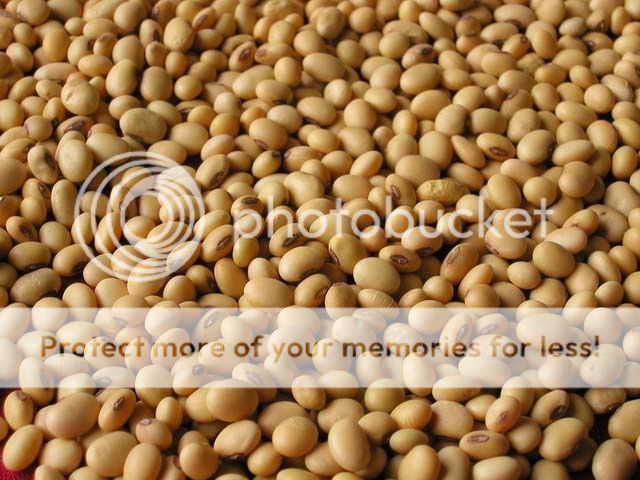 35 lbs Pure Vegetable Soya Bean Salad Oil  