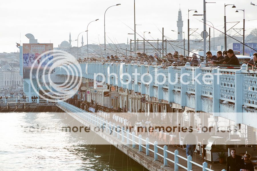 photo _MG_6984-1_zpsdca2eeac.jpg