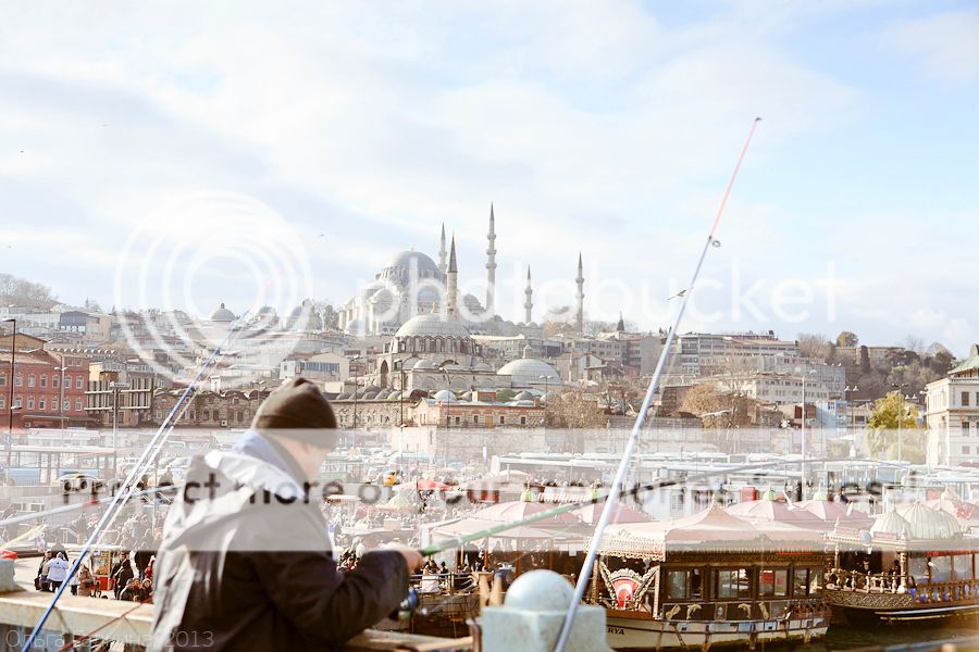 photo _MG_6984-2_zps8df7da7f.jpg