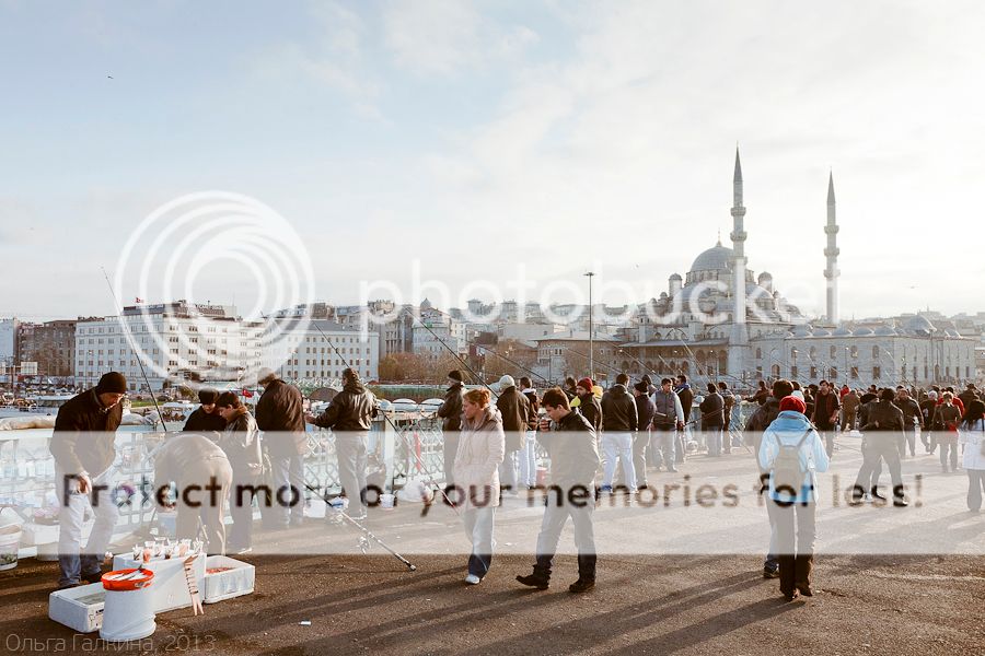 photo _MG_6984-3_zpse8aca1aa.jpg