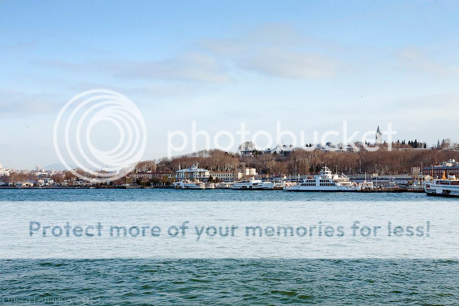 photo _MG_7849_zps52dac1bb.jpg