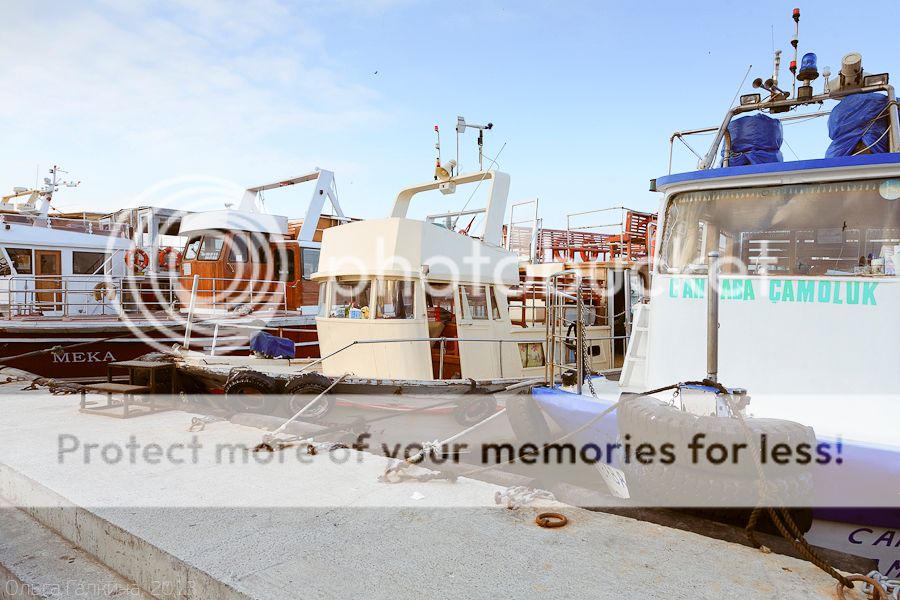 photo _MG_7861_zps886a7882.jpg