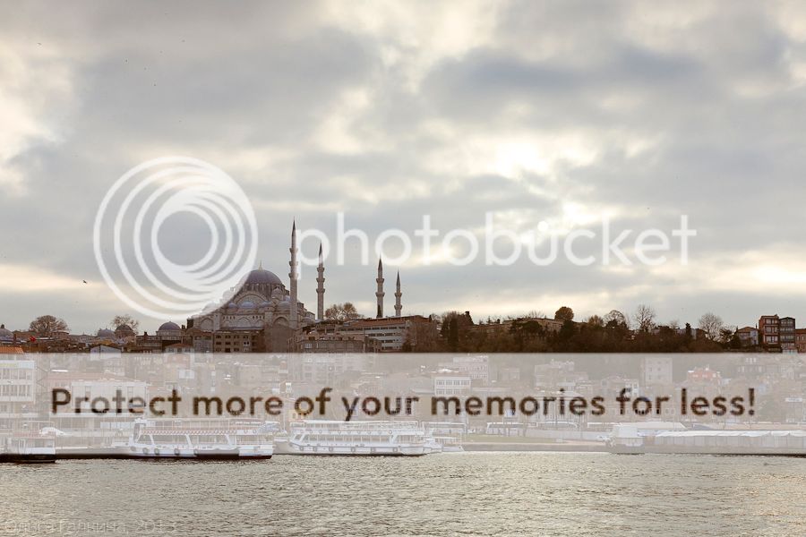 photo _MG_7869_zps88a3c06e.jpg