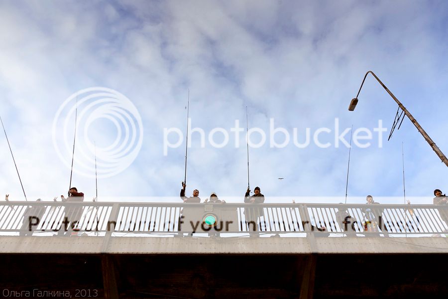 photo _MG_7875_zpsb8d3b228.jpg