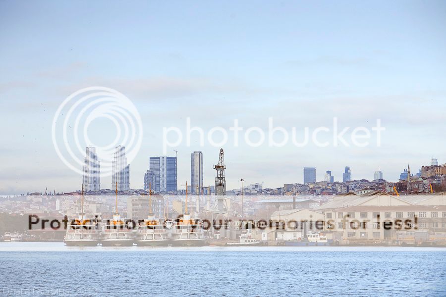 photo _MG_7876_zpsb6e9c956.jpg