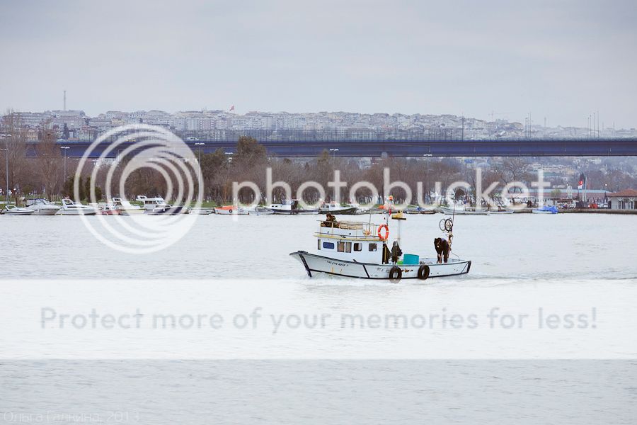 photo _MG_7921_zps63630b8a.jpg