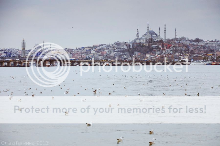 photo _MG_7927_zpsd9bf899f.jpg