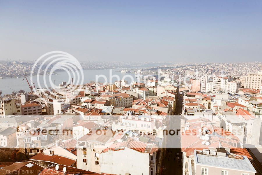 photo _MG_7971_zps2e09dca1.jpg