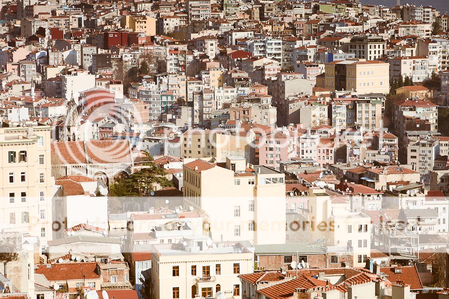 photo _MG_7982_zpsf1d23550.jpg