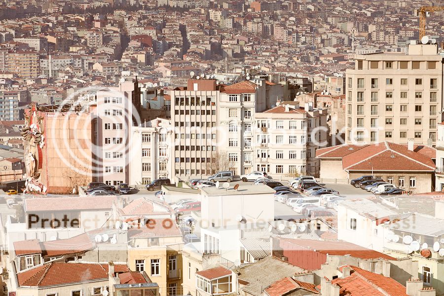 photo _MG_7983_zps206a0e0a.jpg