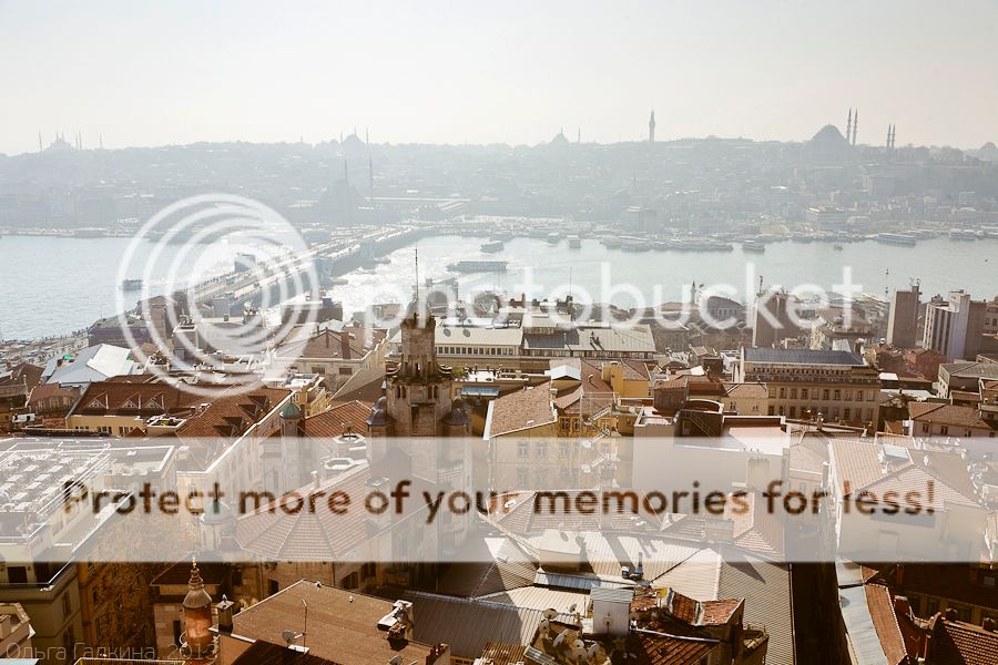 photo _MG_7986_zps6518ce8d.jpg