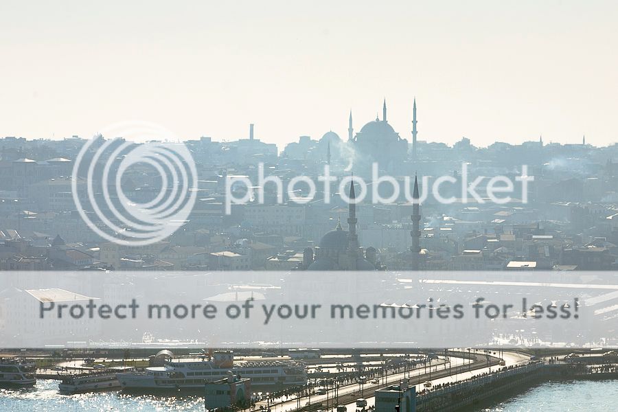 photo _MG_7987_zpsd64f3a0d.jpg