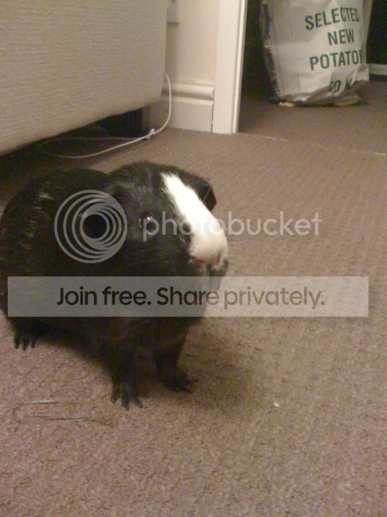 Picture001.jpg