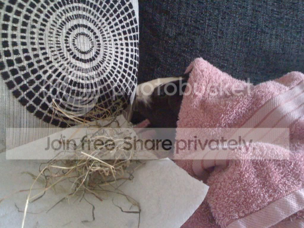 Picture007.jpg