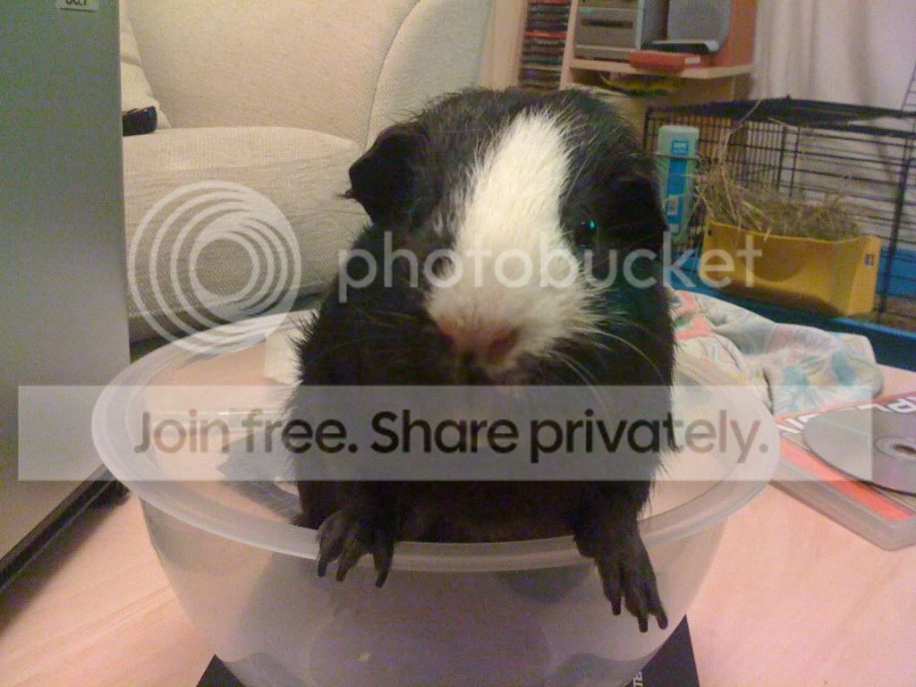 Picture063.jpg