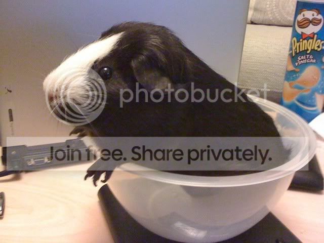 Picture076.jpg